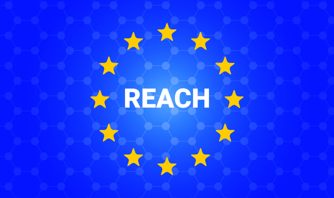 EU REACH 2025 SVHC Update