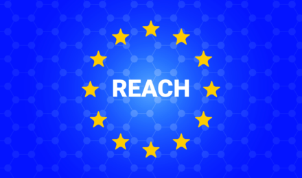 EU REACH 2025 SVHC Update